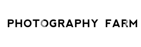 wedding photography training logo